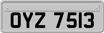 OYZ7513