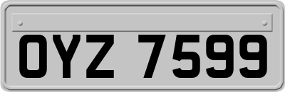 OYZ7599