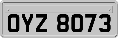 OYZ8073