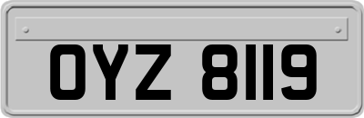 OYZ8119
