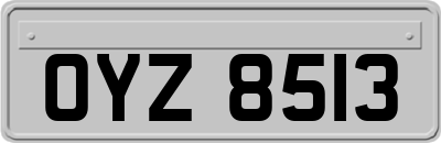 OYZ8513