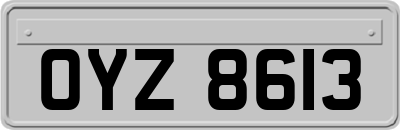 OYZ8613