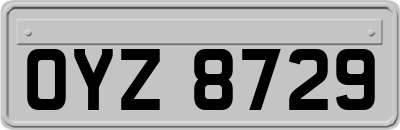 OYZ8729