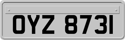 OYZ8731