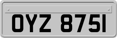 OYZ8751