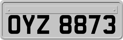 OYZ8873