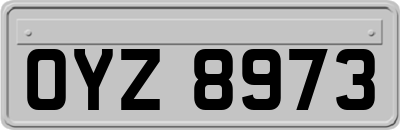 OYZ8973
