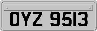 OYZ9513