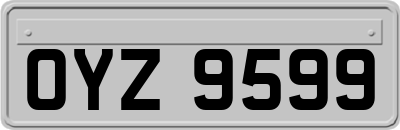 OYZ9599