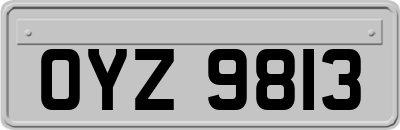 OYZ9813