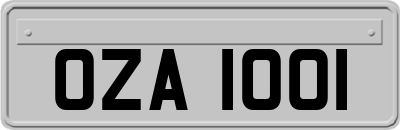 OZA1001