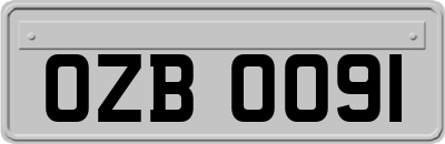 OZB0091