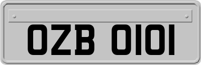 OZB0101