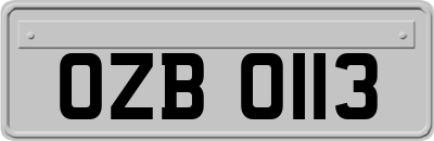 OZB0113