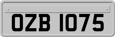OZB1075