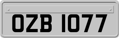 OZB1077
