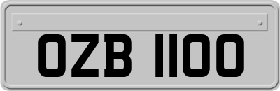 OZB1100