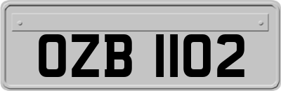 OZB1102
