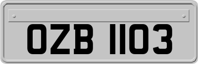 OZB1103