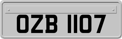 OZB1107