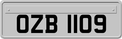 OZB1109