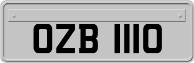 OZB1110