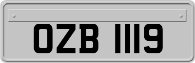 OZB1119