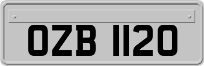 OZB1120