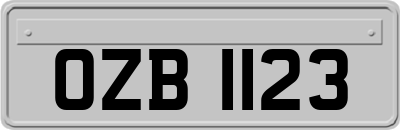 OZB1123
