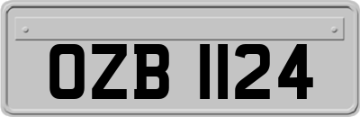 OZB1124