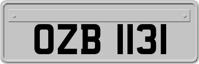 OZB1131