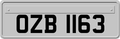 OZB1163