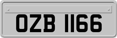 OZB1166
