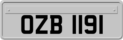 OZB1191