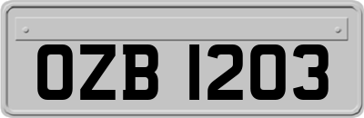 OZB1203