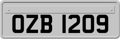 OZB1209