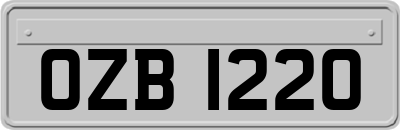 OZB1220