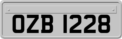 OZB1228