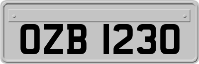 OZB1230