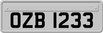 OZB1233