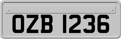 OZB1236
