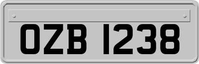 OZB1238