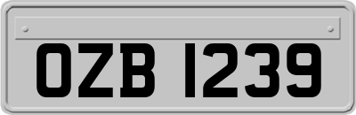 OZB1239