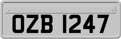 OZB1247