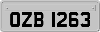 OZB1263