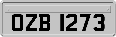 OZB1273