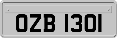 OZB1301