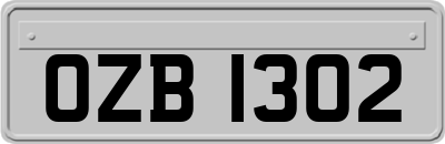 OZB1302
