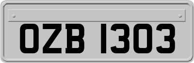 OZB1303