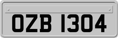 OZB1304